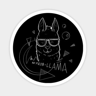 No PROB-LLAMA Magnet